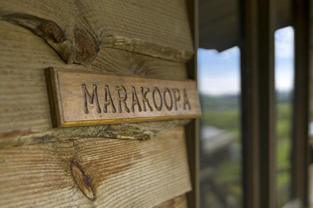 Mole Creek Cabins Екстер'єр фото