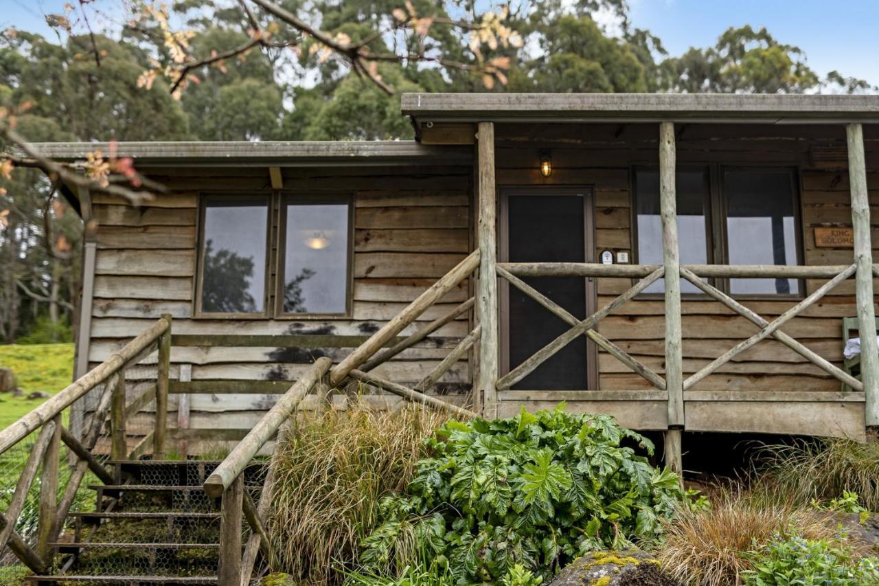 Mole Creek Cabins Екстер'єр фото