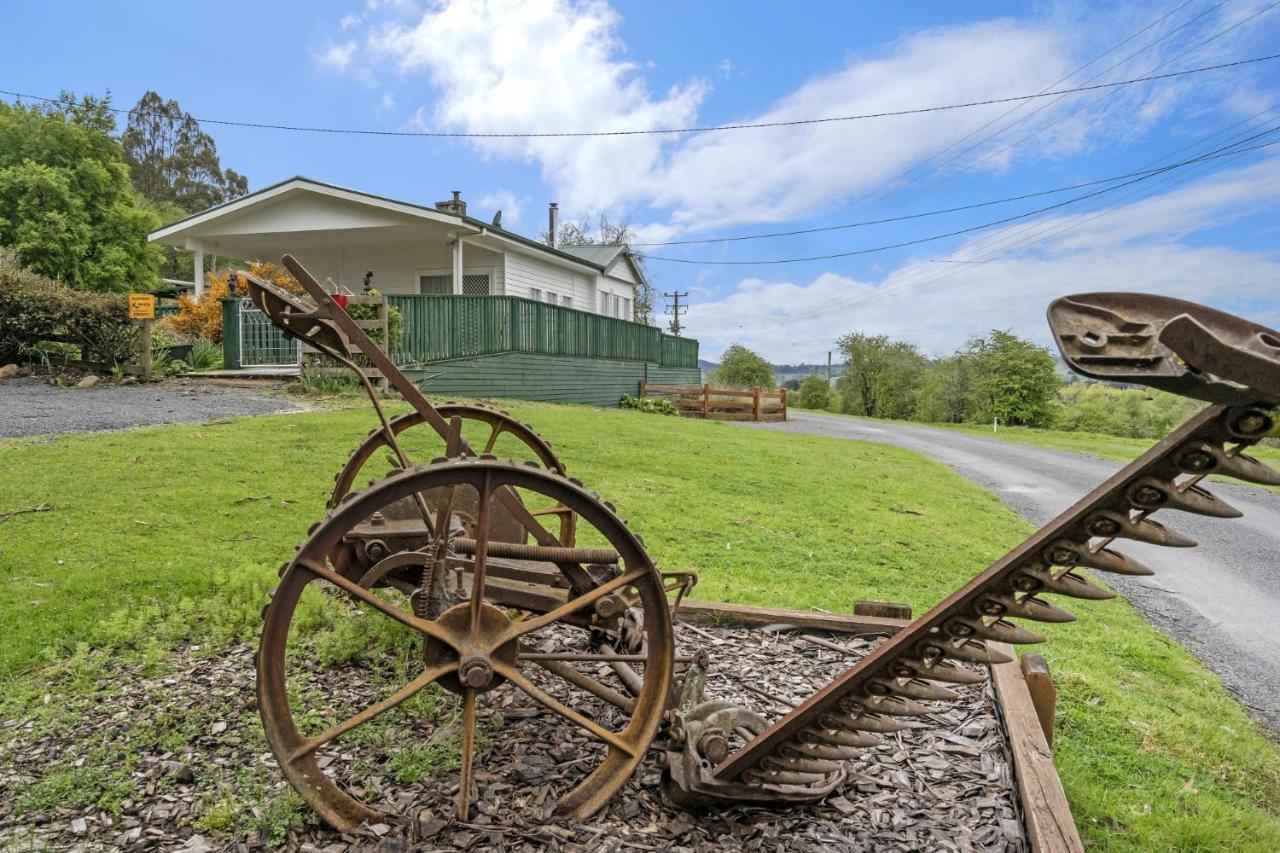 Mole Creek Cabins Екстер'єр фото