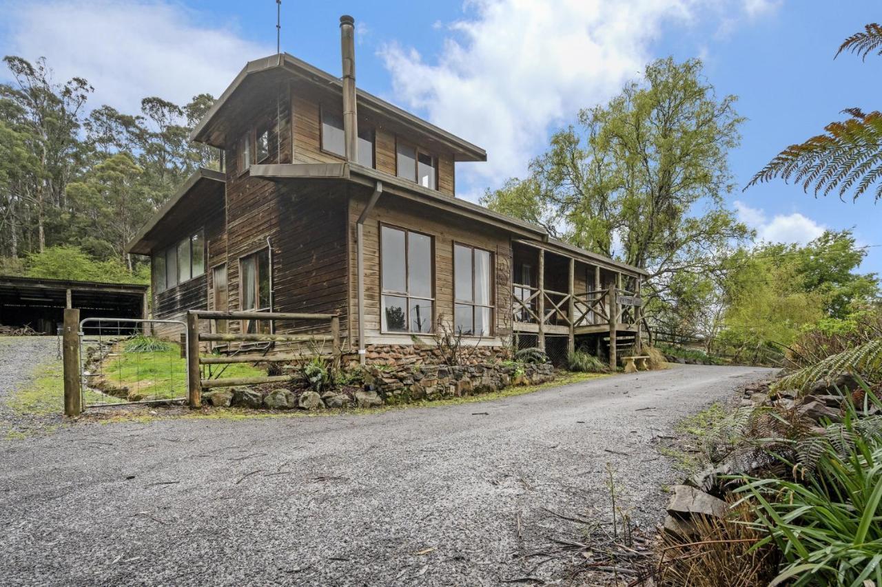 Mole Creek Cabins Екстер'єр фото